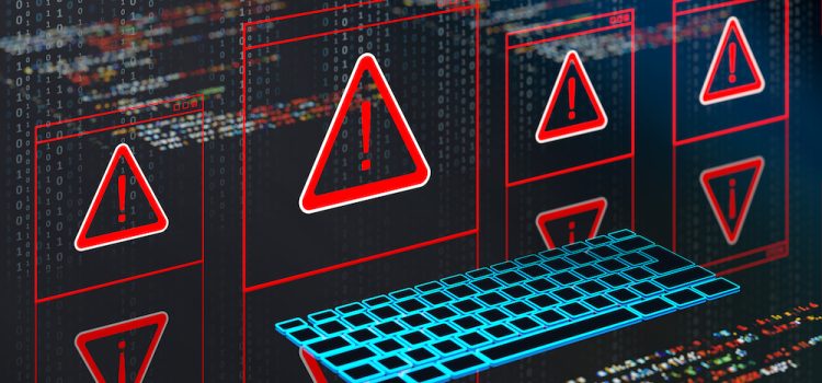 Senator castigates federal judiciary for ignoring “basic cybersecurity”