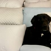 Best Pillows for Back Sleepers in 2024