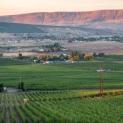 Best Internet Providers in Yakima, Washington