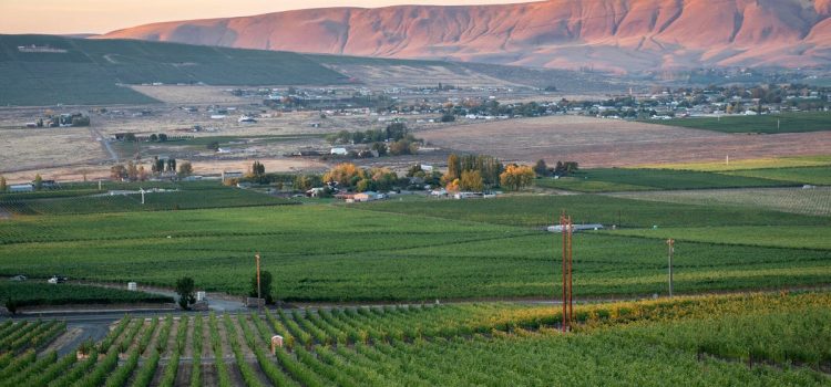 Best Internet Providers in Yakima, Washington
