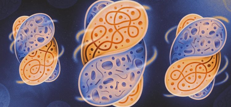 Scientists Recreate the Conditions That Sparked Complex Life