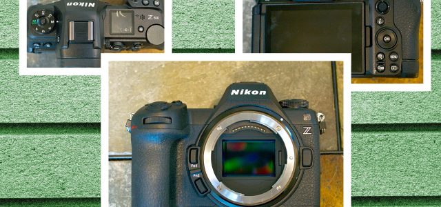 Nikon Z6 III Review: A Hybrid Camera for the Masses
