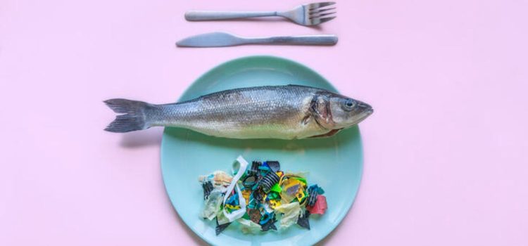 Want to Avoid Microplastics in Food? We Found the 8 Most Common Foods That Contain Microplastics