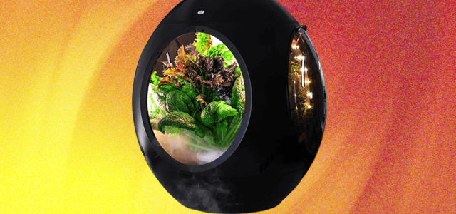 Plantaform Smart Indoor Garden Review: Rewarding but Risky