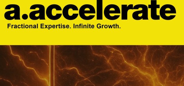 Ayzenberg Group aims to accelerate the growth of game companies with better marketing