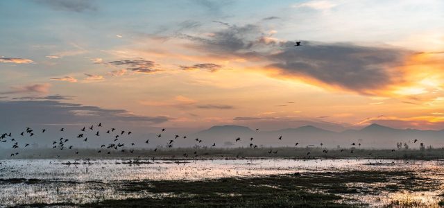 Rainfall Buries a Mega-Airport in Mexico