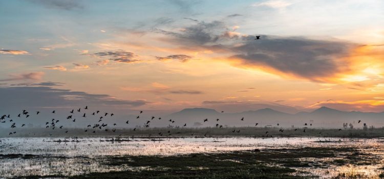Rainfall Buries a Mega-Airport in Mexico