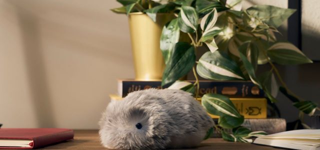 Casio’s Fluffy AI Robot Squeaked Its Way Into My Heart