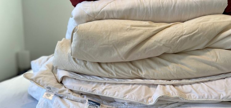 Best Comforters for 2025: Refresh Your Bedding for Spring With These 8 Options