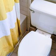 Toilet Time With Your Phone Could Give You a Real Pain in the Butt