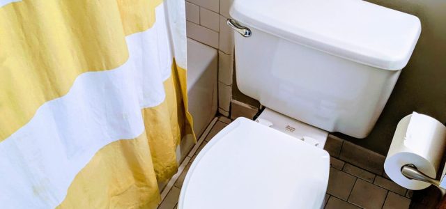 Using Your Phone on the Toilet Could Contribute to Hemorrhoids, Study Finds