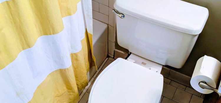 Using Your Phone on the Toilet Could Contribute to Hemorrhoids, Study Finds