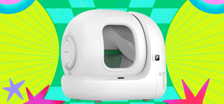 The Petkit PuraMax 2 Is $100 Off Right Now (2025)