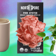 The 17 Best Gifts for Plant Lovers We’d Buy Ourselves (2025)
