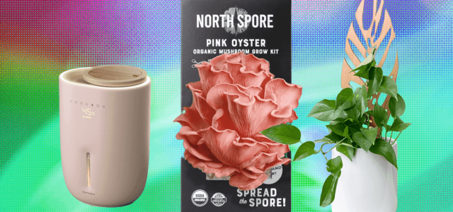 The 17 Best Gifts for Plant Lovers We’d Buy Ourselves (2025)