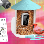 The 19 Best Tried and Tested Gifts for Bird Lovers (2025)
