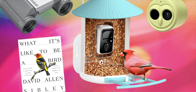 The 19 Best Tried and Tested Gifts for Bird Lovers (2025)