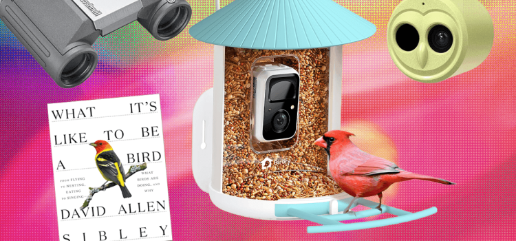 The 19 Best Tried and Tested Gifts for Bird Lovers (2025)