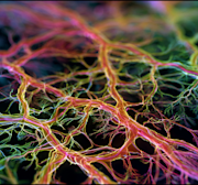 OpenAI experiment finds that sparse models could give AI builders the tools to debug neural networks