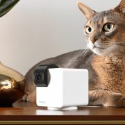 Best Home Pet Cams of 2025: Tested with Our Pets