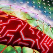 Billion-Dollar Data Centers Are Taking Over the World