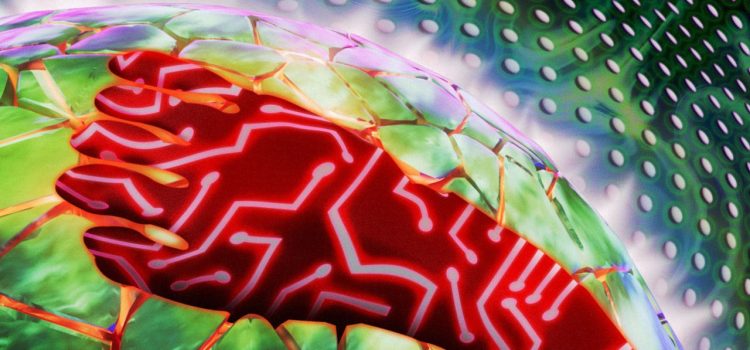 Billion-Dollar Data Centers Are Taking Over the World