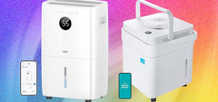 6 Best Dehumidifiers to Keep Your Home Mold-Free (2026)