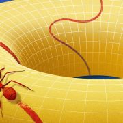 Behold the Manifold, the Concept that Changed How Mathematicians View Space