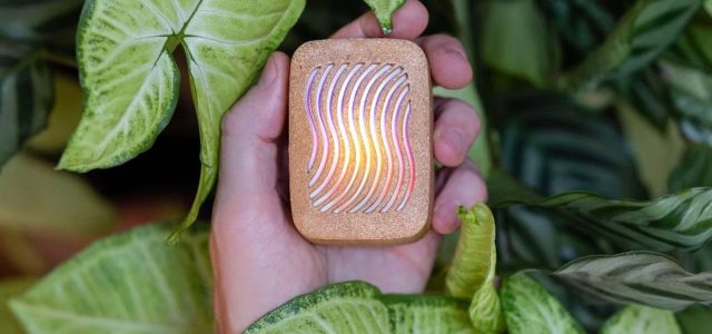 12 Best Gifts for Plant Lovers: Tech Edition