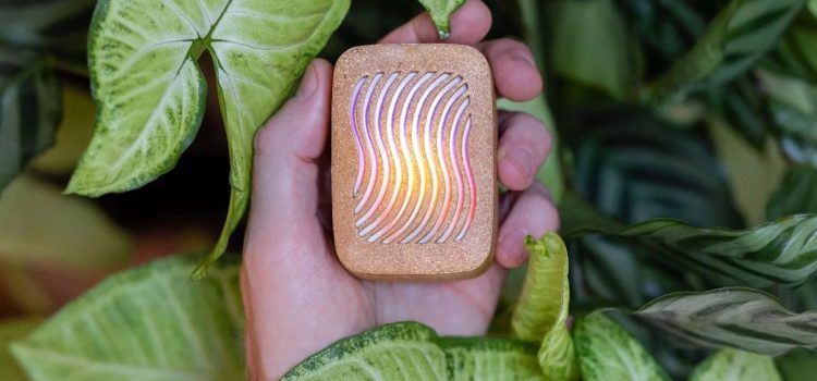 12 Best Gifts for Plant Lovers: Tech Edition