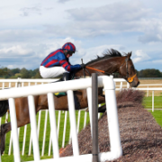 Entain figures show the Grand National was the biggest betting event of the year once again