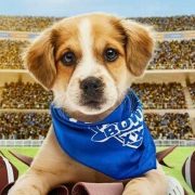 Puppy Bowl 2026: How to Watch and Stream the Furry Showdown