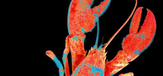 Moltbook, the Social Network for AI Agents, Exposed Real Humans’ Data