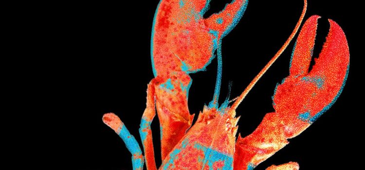 Moltbook, the Social Network for AI Agents, Exposed Real Humans’ Data