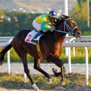 Chicago bankruptcy judge denies emergency hearing request in Hawthorne racetrack Chapter 11