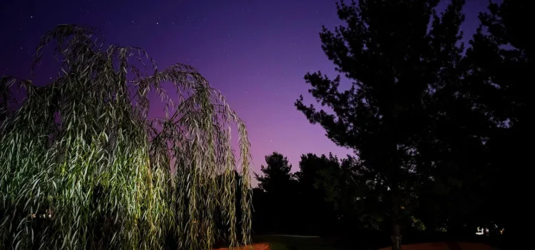Aurora Borealis Watch: 15 States May Catch Glimpse of Northern Lights This Week
