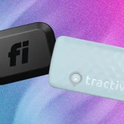 Smart Cat Collars: Which Is Best for Health and GPS Tracking?