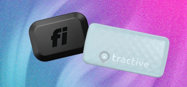 Smart Cat Collars: Which Is Best for Health and GPS Tracking?