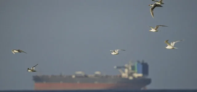 Spoofed Tankers Are Flooding the Strait of Hormuz. These Analysts Are Tracking Them