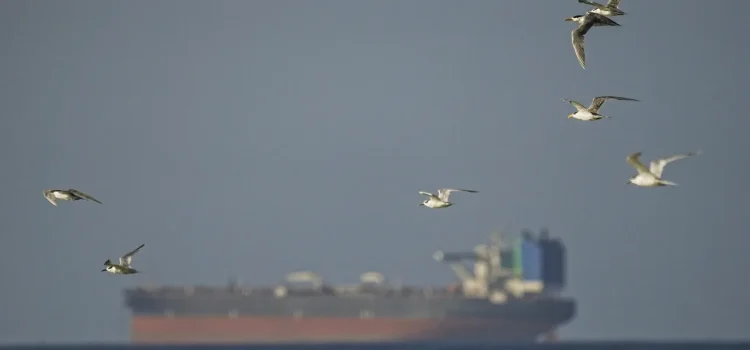 Spoofed Tankers Are Flooding the Strait of Hormuz. These Analysts Are Tracking Them