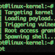 Dangerous New Linux Exploit Gives Attackers Root Access to Countless Computers