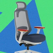 Branch Ergonomic Chair Pro (Sega Edition) Review: Comfy, Not Boring